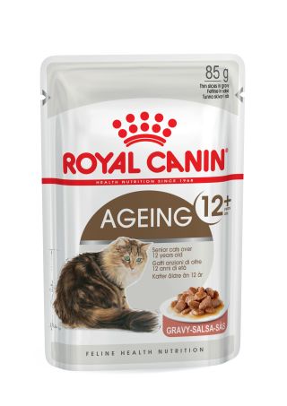 Ageing 12+ (in gravy)